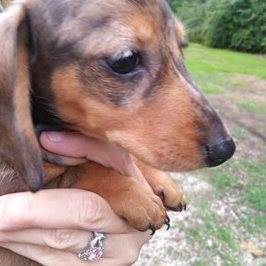 Meet your Posher, Darrell